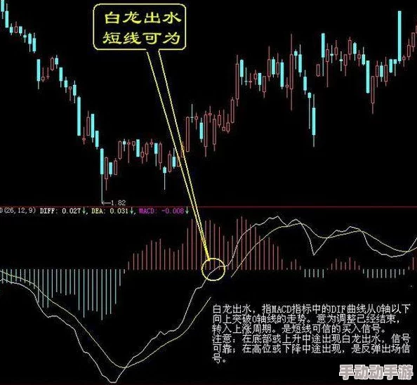 燕云十六声跑商赚钱攻略，轻松致富的秘诀与技巧