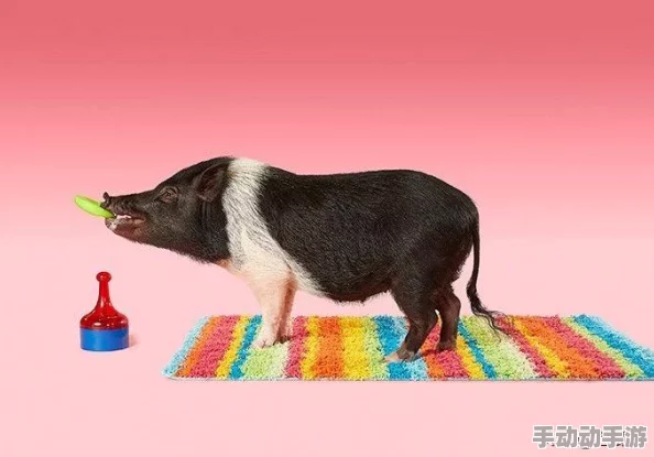 深入解析：打开无障碍选项的等待时间及其影响因素