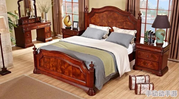 灵魂宝戒深度解析法毒队玩法攻略与全面介绍