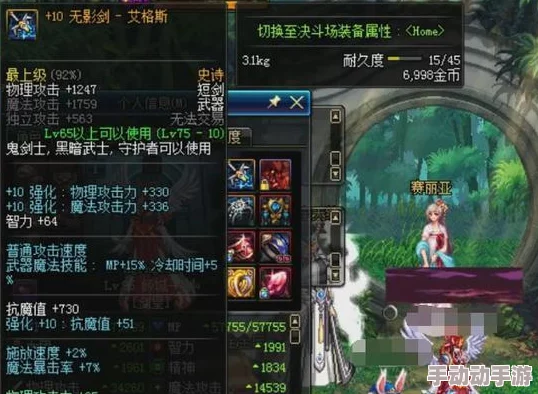 DNF大号与无影剑：深度解析哪个更适合你的游戏需求