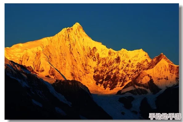 深度解析森林冰火人角色设定——探究黑色形象归属