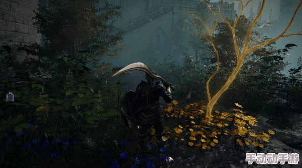 艾尔登法环深度解析哪位法师更强势及其技能对比