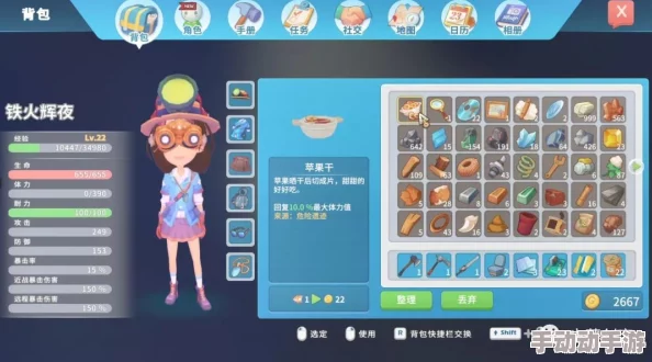 波西亚时光：深入解析游戏中不可或缺的码头场景