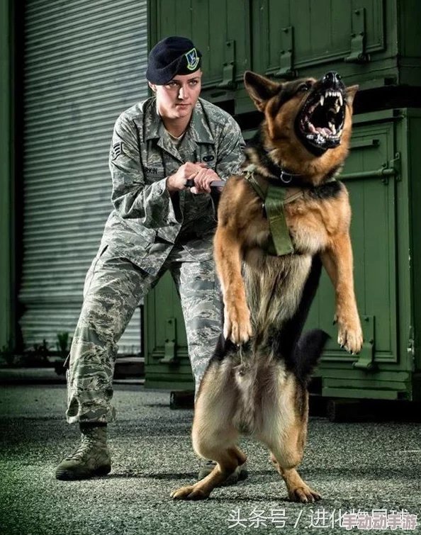 《反恐精英》深度解析跳跃起飞操作技巧与按键指南