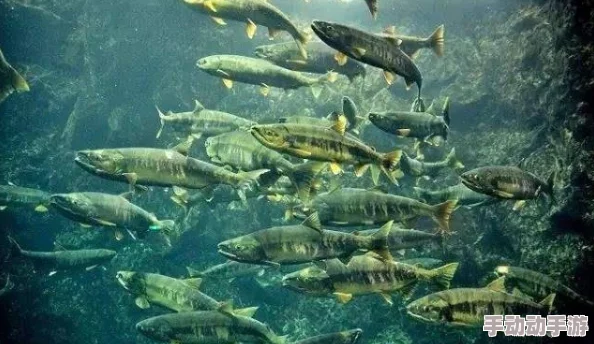 深度解析《桃源记》中神秘鱼的多样用途与效果介绍