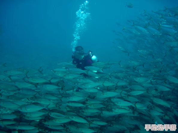 深度解析《桃源记》中神秘鱼的多样用途与效果介绍