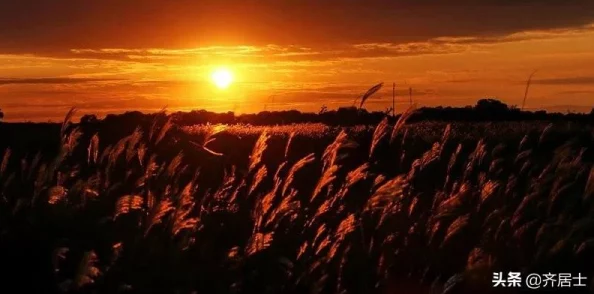 极夜黎明最新兑换码深度解析亲测有效，领取攻略详解