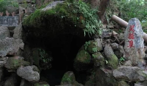 《魔兽世界》长青苔的土灵任务怎么做? 《魔兽世界》长青苔的土灵任务怎么做?