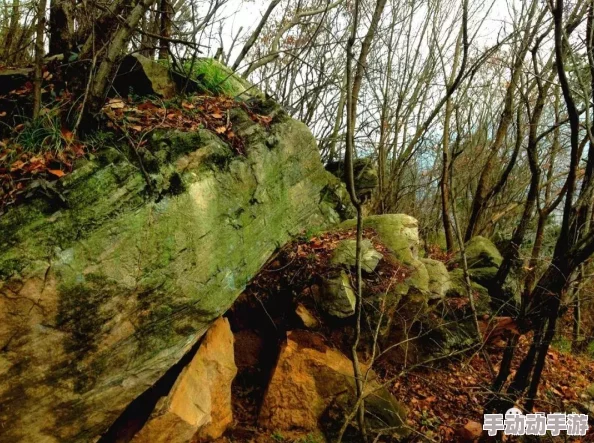 天国拯救2药草哪里采？