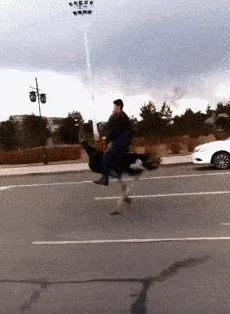 地铁逃生有恐龙坐骑吗? 地铁逃生有恐龙坐骑吗?