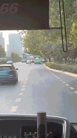 地铁逃生有恐龙坐骑吗? 地铁逃生有恐龙坐骑吗?