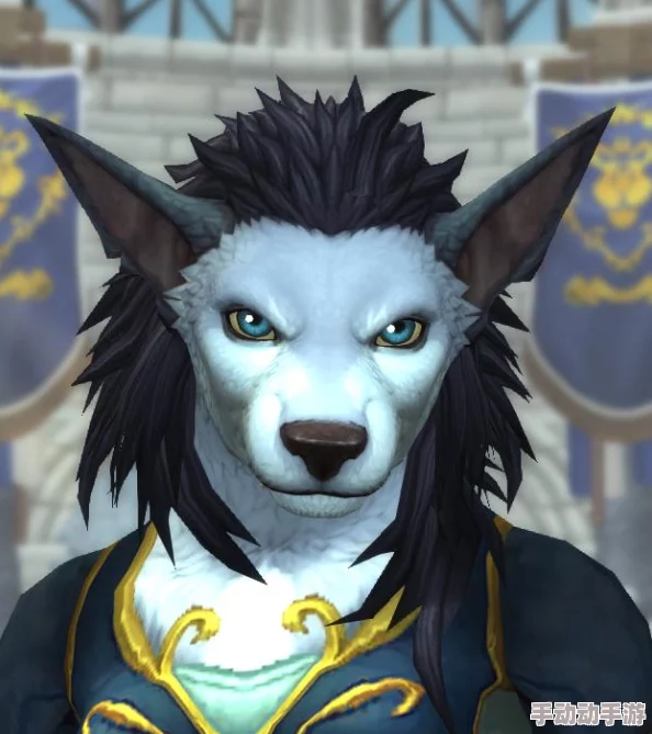 魔兽争霸物品外观哪个最受欢迎？