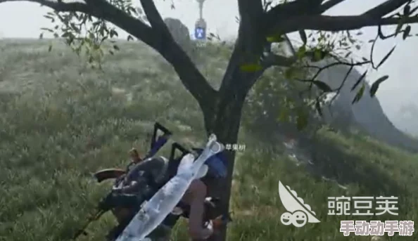 《七日世界》蓝莓哪里采？